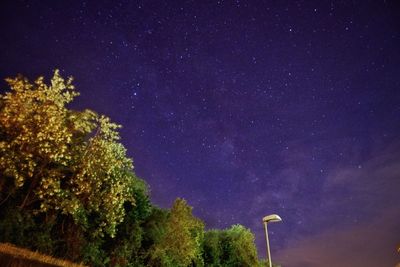 Low angle view of trees against sky at night