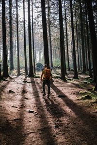 Full length of man walking in forest