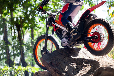 Close-up of bicycle parked on tree trunk