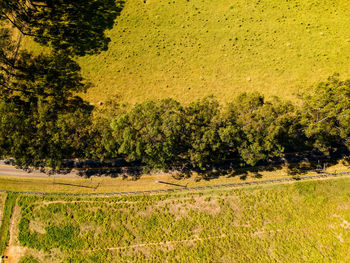 Scenic view of field