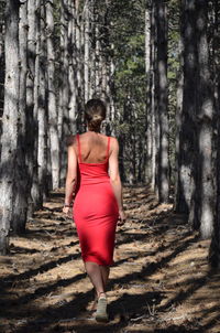 Rear view of woman in forest
