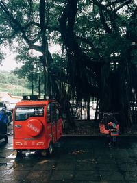 Red vehicle on tree