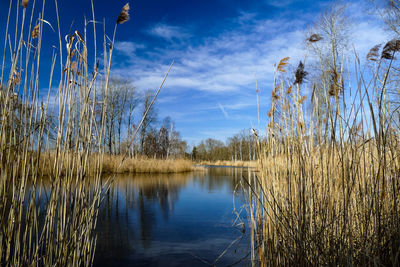 Scenic view of lake against sky