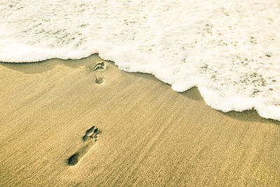 High angle view of footprints on sand at beach