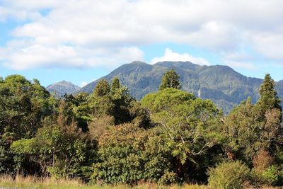 Scenic view of trees and mountains against sky