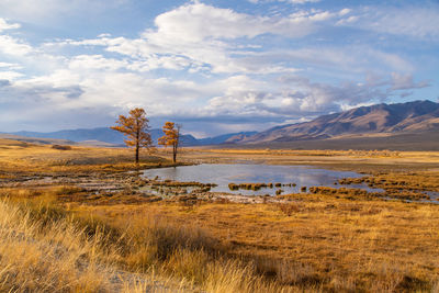 Scenic view of field by lake against sky