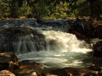 Scenic view of waterfall in forest
