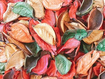 Full frame shot of multi colored leaves