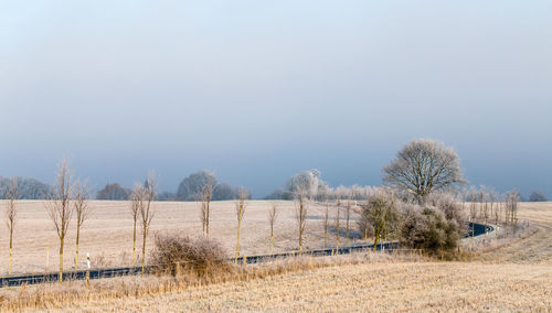 Trees on field against clear sky