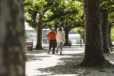 Senior couple walking in park, rear view