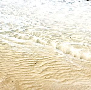 Sand dune on beach