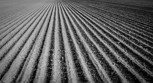 Full frame shot of agricultural field