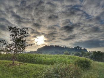 Scenic view of field against sky during sunset