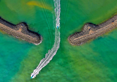 Close-up of crocodile in sea