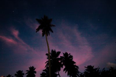 Low angle view of silhouette palm trees against sky at night