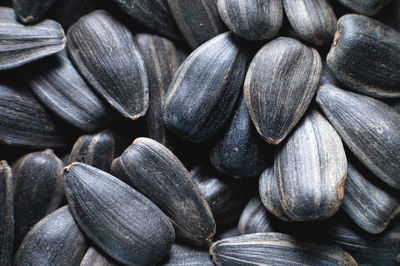 Close-up of black sunflower seeds. texture, background of natural and healthy snacks. macro