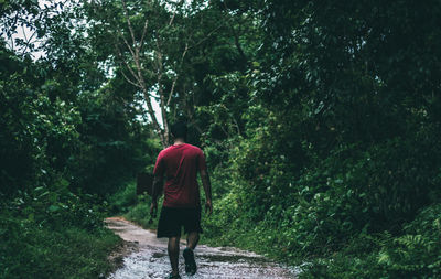 Rear view of woman walking on footpath in forest