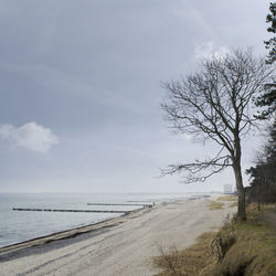 View of beach against cloudy sky