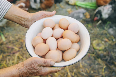 Cropped hands of senior woman holding eggs in bowl