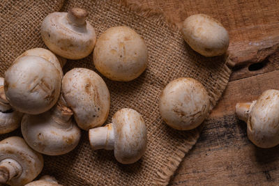 High angle view of mushrooms