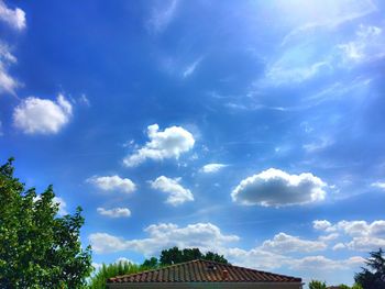 Low angle view of trees against blue sky