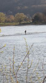 View of birds swimming in sea