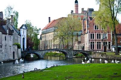 Arch bridge over river against buildings