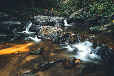 Water flowing through rocks in forest