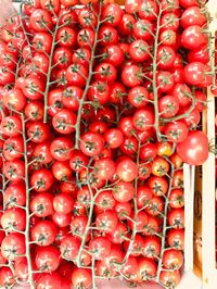 Full frame shot of red chili peppers for sale in market