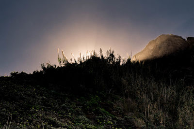 Scenic view of landscape against sky at night