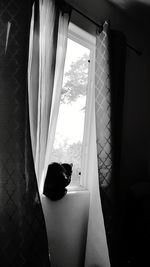 Girl in horse seen through window