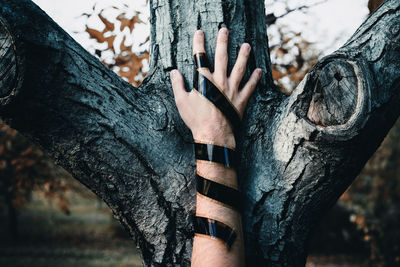 Cropped hand wrapped with film reel on tree