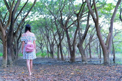 Rear view of woman walking in forest