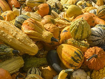 Full frame shot of pumpkin