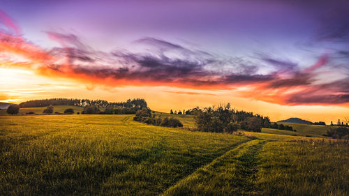 Scenic view of field against sky during sunset