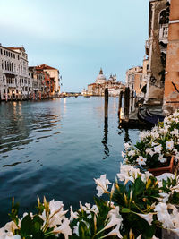 View of canal amidst buildings against sky