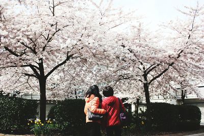 Rear view of women standing against flowering tree