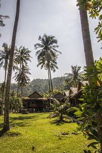 Trees and plants growing on field against sky