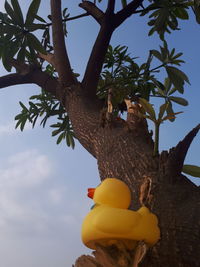 Low angle view of fruits on tree against sky