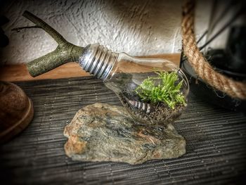 Close-up of food on table