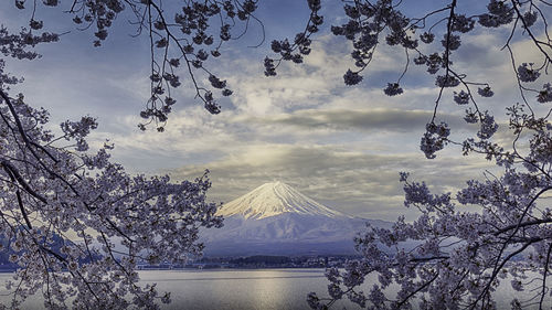 Scenic view of lake by snowcapped mountains against sky