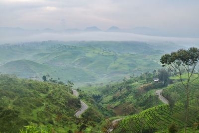 Scenic view of landscape against sky