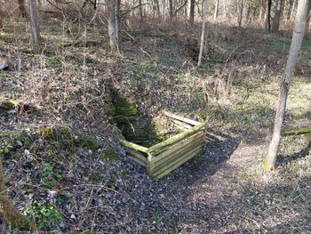 High angle view of empty bench on field in forest