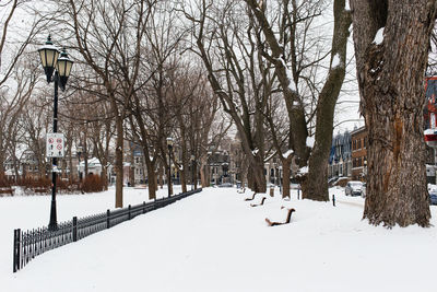 Snow covered trees in winter