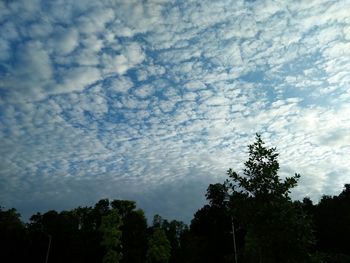 Low angle view of trees against cloudy sky
