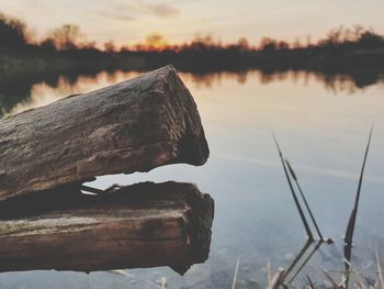 Close-up of wood on rock by lake against sky