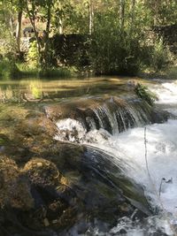 Scenic view of stream flowing in forest