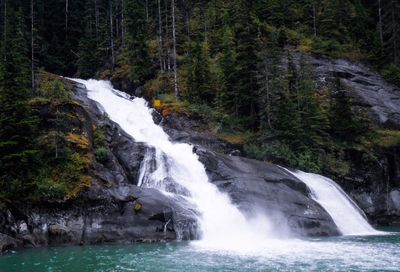 Scenic view of waterfall in forest