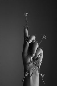 Cropped image of person holding flowers against wall
