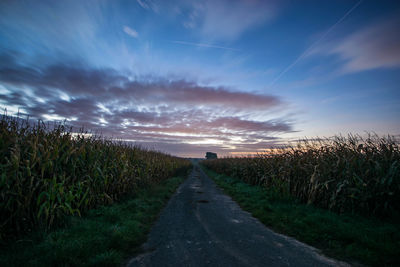 Scenic view of agricultural field against sky during sunset